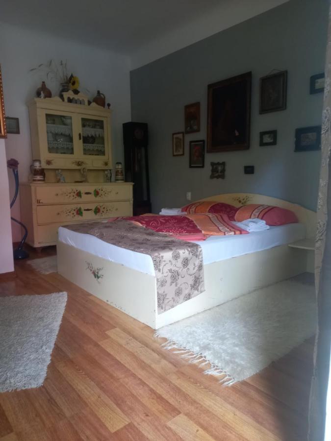 Casa Elena Leilighet Sighişoara Eksteriør bilde